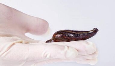 Cream Leech to increase a member