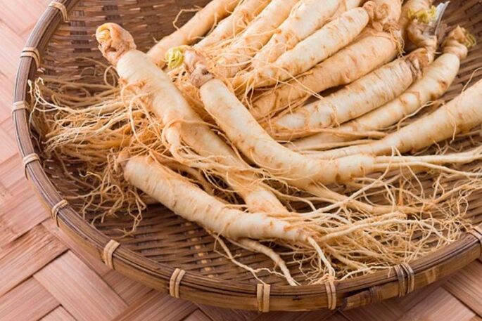 Ginseng root for the preparation of tincture that stimulates blood circulation in the tissues of the penis